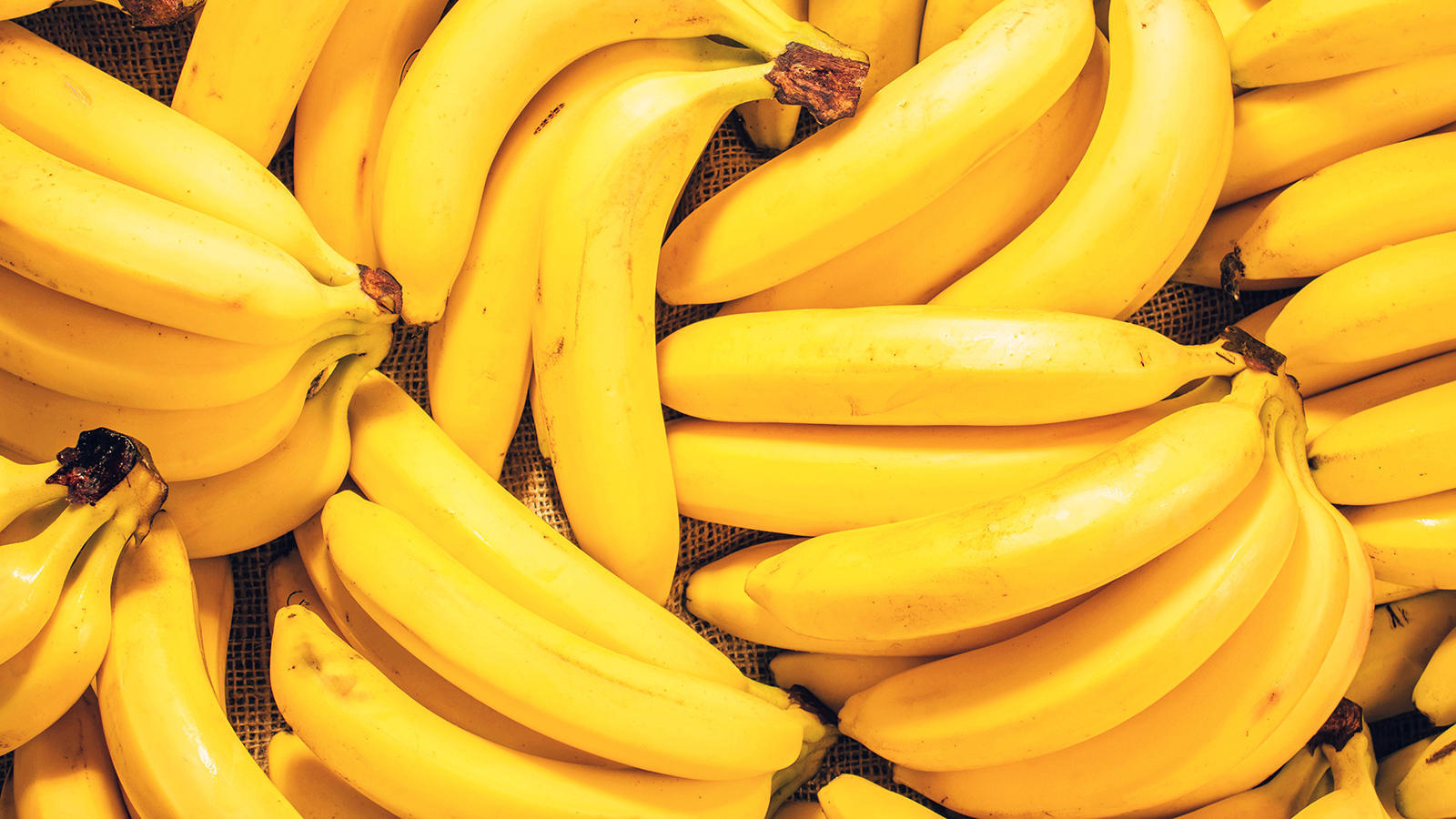 bananas, many, banana, fruit, background, fresh, market, ripe, bunch, food, healthy, yellow, tropical, stack, organic, color, closeup, natural, diet, agriculture, snack, ingredient, objects, sale, product, lot, pattern, health, lifestyle, macro, sweet, group, pile, heap, grocery, fruits, lots, bunches, beautiful, eat, vegetarian, horisontal, burlap