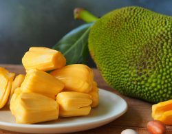 Jackfruit-1