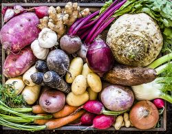Top view of a large group of multicolored fresh organic roots, legumes and tubers shot on a rustic wooden crate surrounded by soil. The composition includes potatoes, Spanish onions, ginger, purple carrots, yucca, beetroot, garlic, peanuts, red potatoes, sweet potatoes, golden onions, turnips, parsnips, celeriac, fennels and radish. Low key DSLR photo taken with Canon EOS 6D Mark II and Canon EF 24-105 mm f/4L