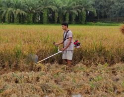 WhatsApp Image 2022-04-08 at 8.46.58 AM